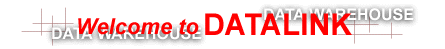 DATALINK LOGO